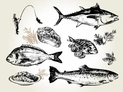 Fish set drawn Stock Illustration