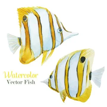 Fish set Stock Illustration