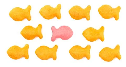 FIsh Shaped Cheese Crackers on a White Background Stock Photos