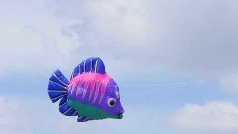 A fish-shaped Kite Flies in the Sky Stock Footage 127239664
