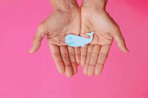 Fish-shaped paper, empty on hand, isolated from pink background. Stock Photos