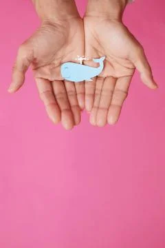 Fish-shaped paper, empty on hand, isolated from pink background. Stock Photos