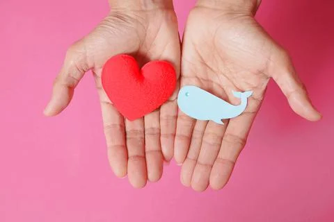 Fish-shaped paper, empty on hand, isolated from pink background. Stock Photos