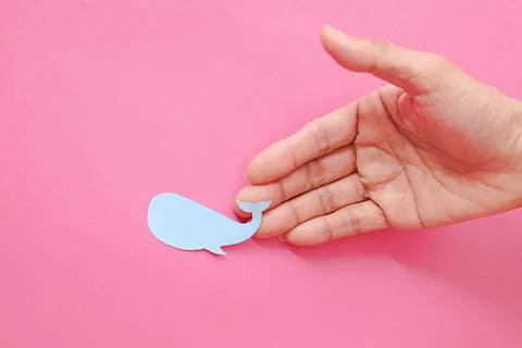 Fish-shaped paper, empty on hand, isolated from pink background. Stock Photos