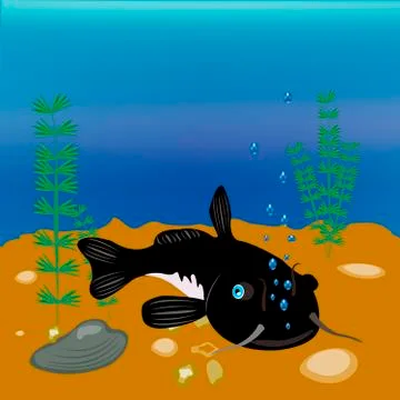 Fish sheatfish on day Stock Illustration