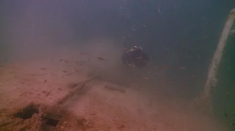 Fish shipwreck and diver Stock Footage 12413283