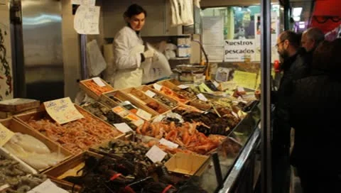 Fish shop Stock Footage 10561011