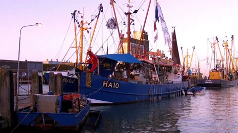 Fish shop. Stock Footage 35755434