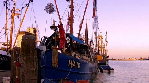 Fish shop. 動画素材 35755954