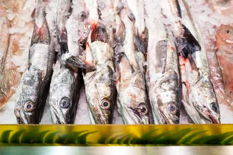 Fish shop Stock Photos