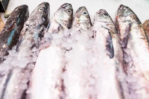 Fish shop Stock Photos