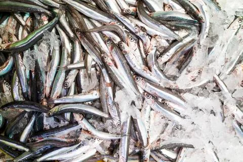 Fish shop Stock Photos