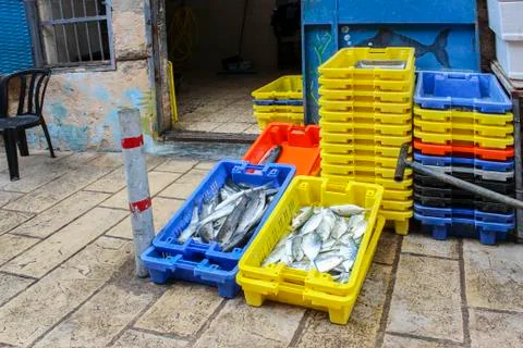 Fish shop Stock Photos