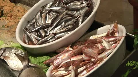 Fish Showcase Vidéo 8995789