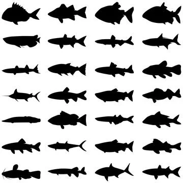 Fish Silhouette Stock Illustration