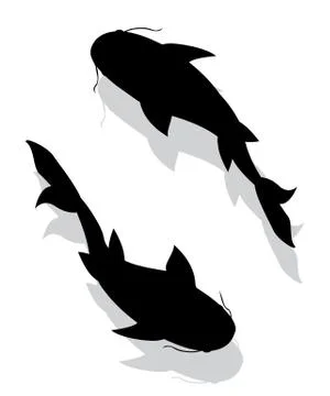 Fish silhouettes over white Stock Illustration