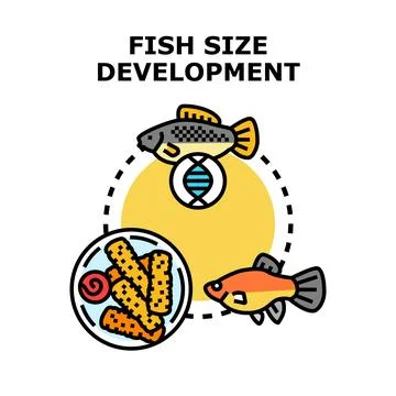 Fish size development and aquaculture genetics concept Stock Illustration