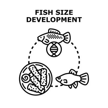 Fish size development and aquaculture genetics concept Stock Illustration