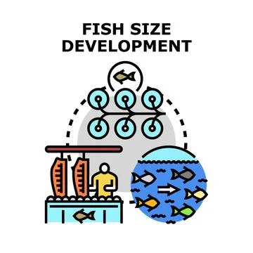 Fish size development process aquaculture industry concept Stock Illustration