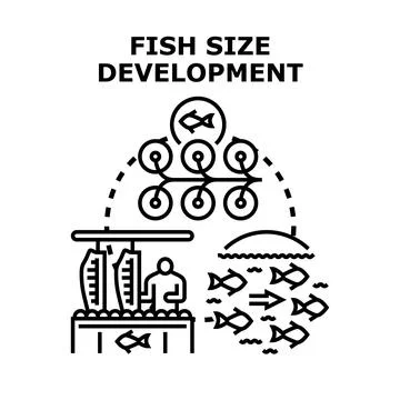 Fish size development process aquaculture industry concept Stock Illustration