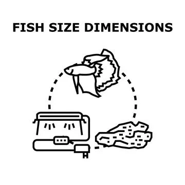 Fish size dimensions choosing proper aquarium environment Stock Illustration