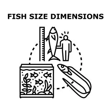 Fish size dimensions concept vector illustration Stock Illustration