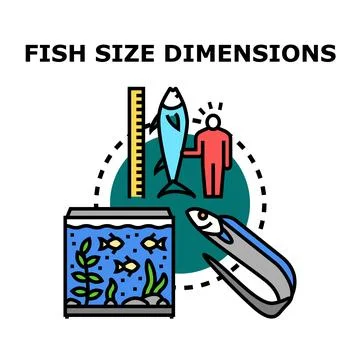 Fish size dimensions concept vector illustration Stock Illustration