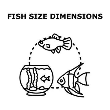 Fish size dimensions representing aquarium space requirements for pets Stock Illustration