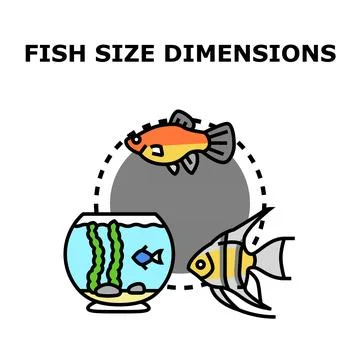 Fish size dimensions representing aquarium space requirements for pets Stock Illustration