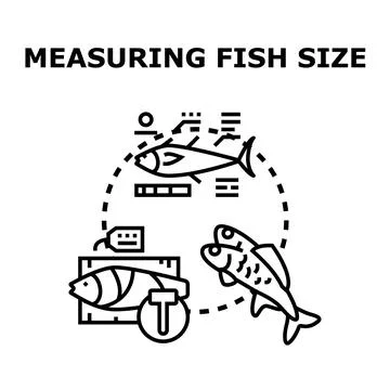 Fish size measuring process concept illustration Stock Illustration