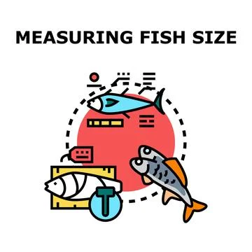 Fish size measuring process concept illustration Stock Illustration