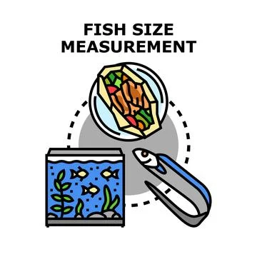Fish size measuring seafood preparation and aquarium aquaculture Stock Illustration