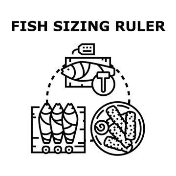 Fish sizing and regulation concept vector illustration Stock Illustration