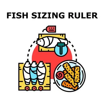 Fish sizing and regulation concept vector illustration Stock Illustration