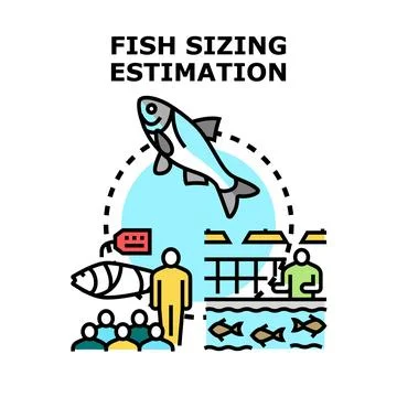 Fish sizing estimation process in aquaculture industry Stock Illustration