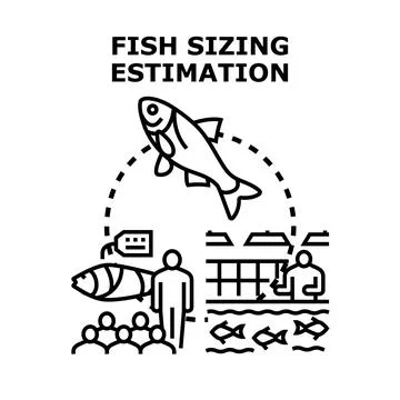 Fish sizing estimation process in aquaculture industry Stock Illustration