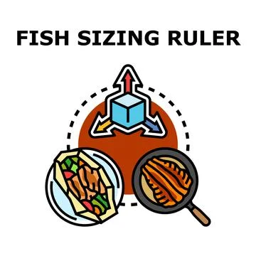 Fish sizing ruler concept measuring seafood meal Stock Illustration