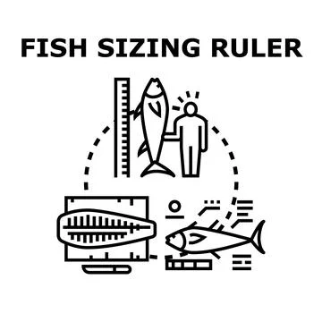 Fish sizing ruler for measuring catch concept Stock Illustration