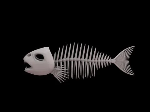 Fish skeleton. Isolated on black background. 3D rendering illustration. Иллюстрация