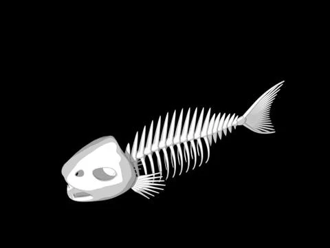 Fish skeleton. Isolated on black background. 3D rendering illustration. 스톡 일러스트