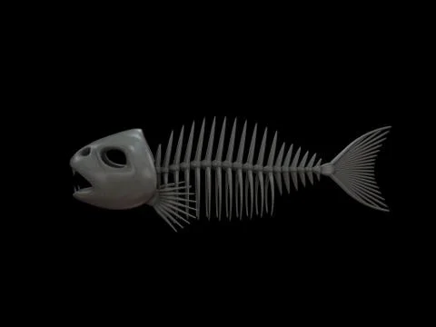 Fish skeleton. Isolated on black background. 3D rendering illustration. 스톡 일러스트