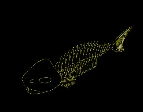 Fish skeleton. Isolated on black background. Vector outline illustration. Stock Illustration
