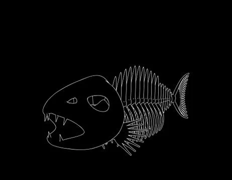 Fish skeleton. Isolated on black background. Vector outline illustration. 스톡 일러스트