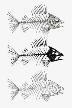 Fish skeleton monochrome Stock Illustration