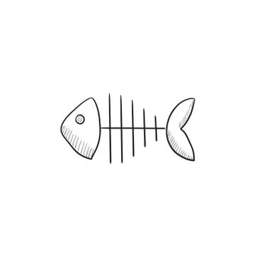 Fish skeleton sketch icon 스톡 일러스트
