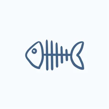 Fish skeleton sketch icon 스톡 일러스트