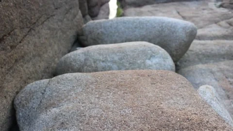 Fish Skeleton Spine Resting on Coastal Rocks Near the Sea Vídeo Stock 343111744