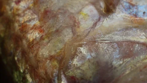 Fish skin macro Stock Footage 98094205