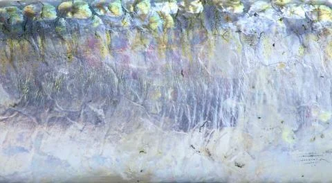 Fish skin pattern Stock Photos