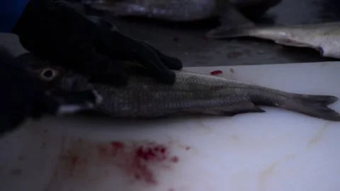 Fish slide open cut in a table at a factory 動画素材 169605627